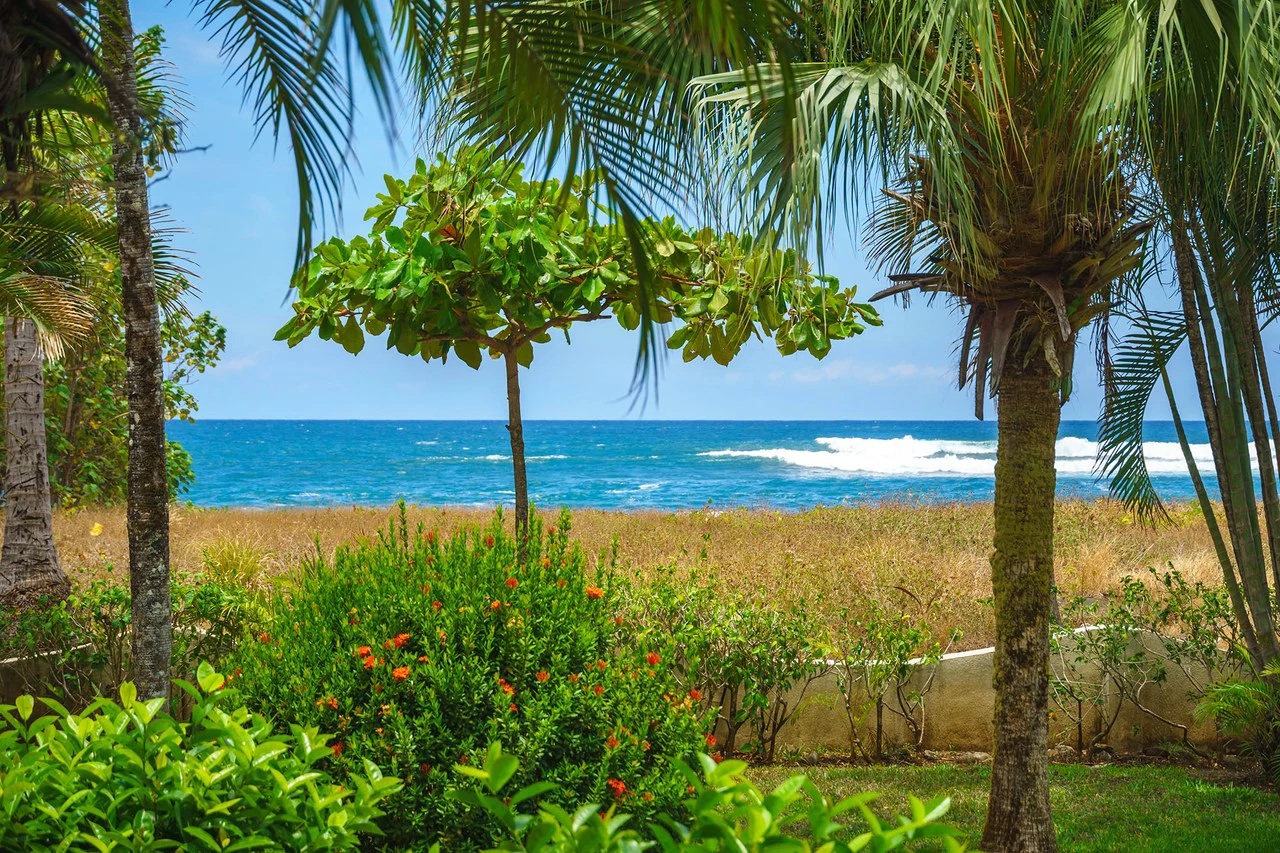Las Brisas #15: Beachfront Condo With Luxury Upgrades & Unparalleled View - Gallery image 4