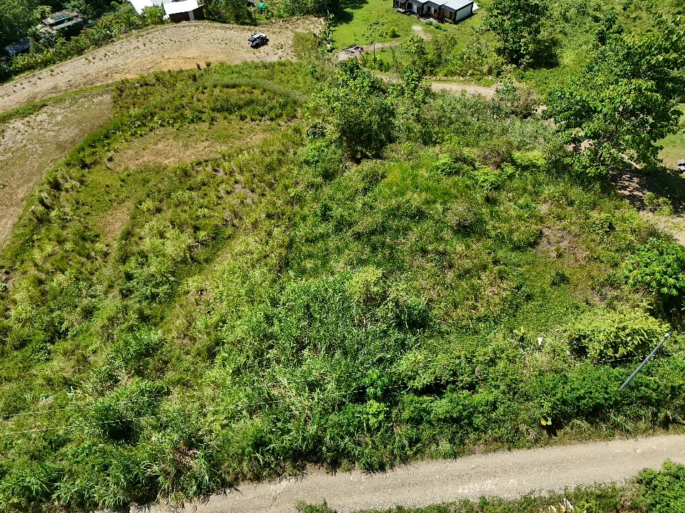 Near the Coast Home Construction Site For Sale in Ojochal - Gallery image 10