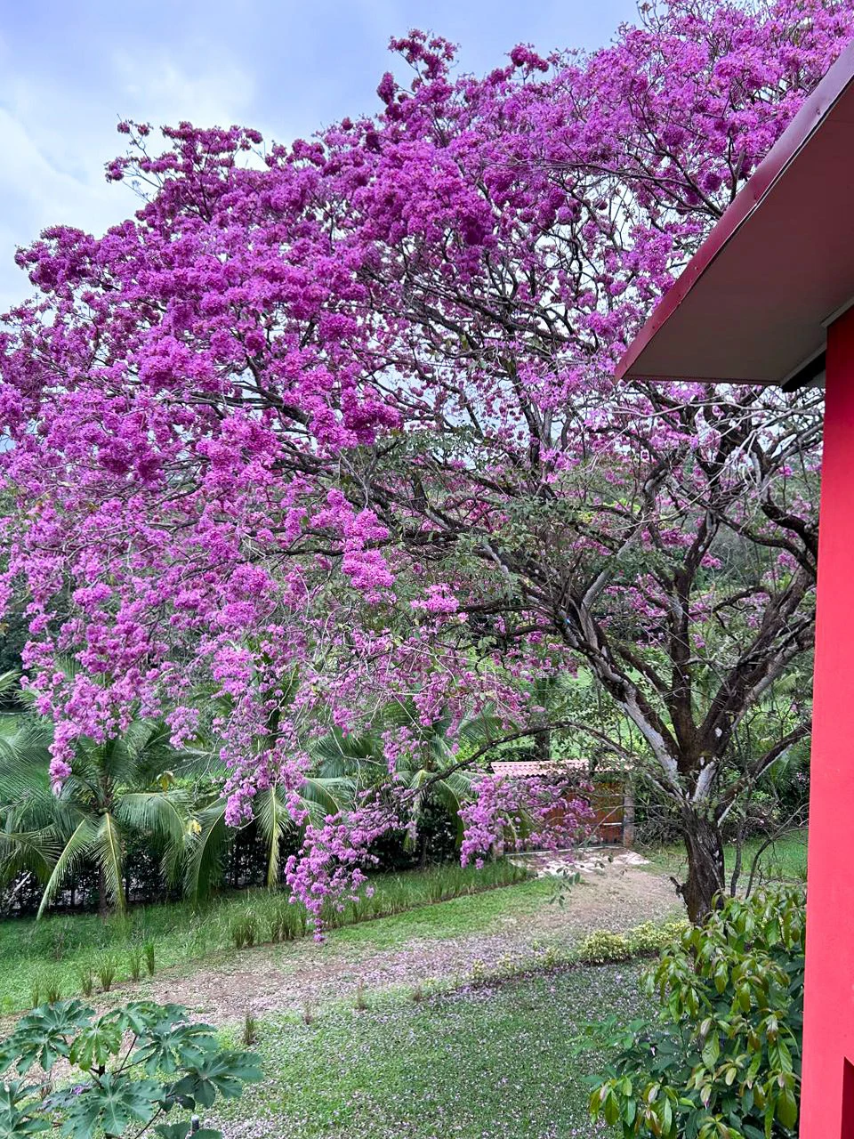 Property for Sale in Orotina, Costa Rica: Nature and Privacy - Gallery image 36