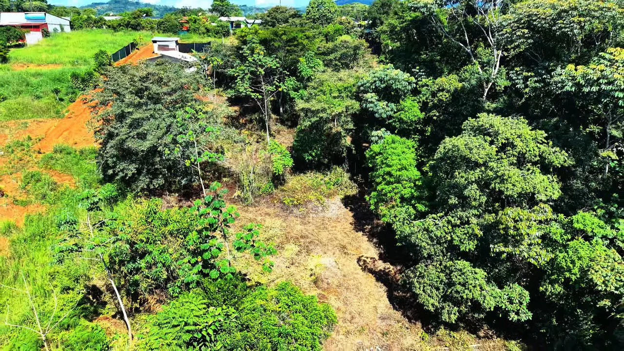 Home Construction Site For Sale in Pavones - Gallery image 11