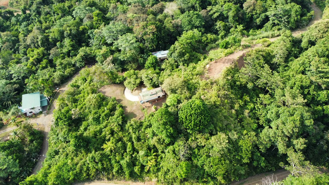 Casa Vista Hermosa: Nature refuge near Manuel Antonio National Park - Gallery image 33