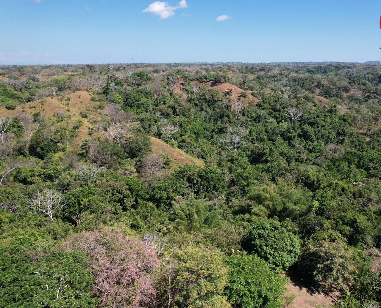 Finca Cobano. Santa Teresa: Near the Coast Agricultural Land For Sale in Santa Teresa