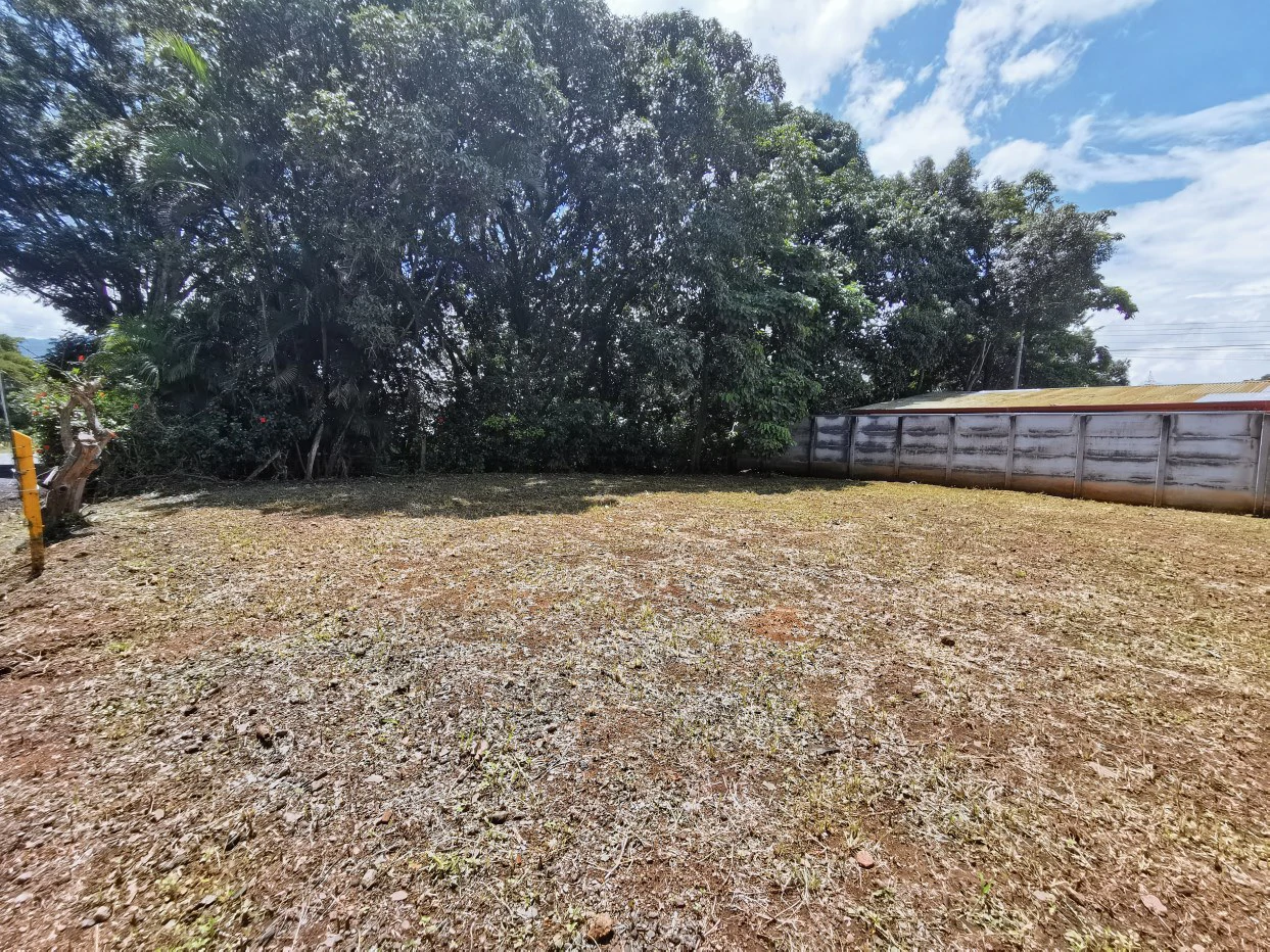 Home Construction Site For Sale in La Guácima - Gallery image 2