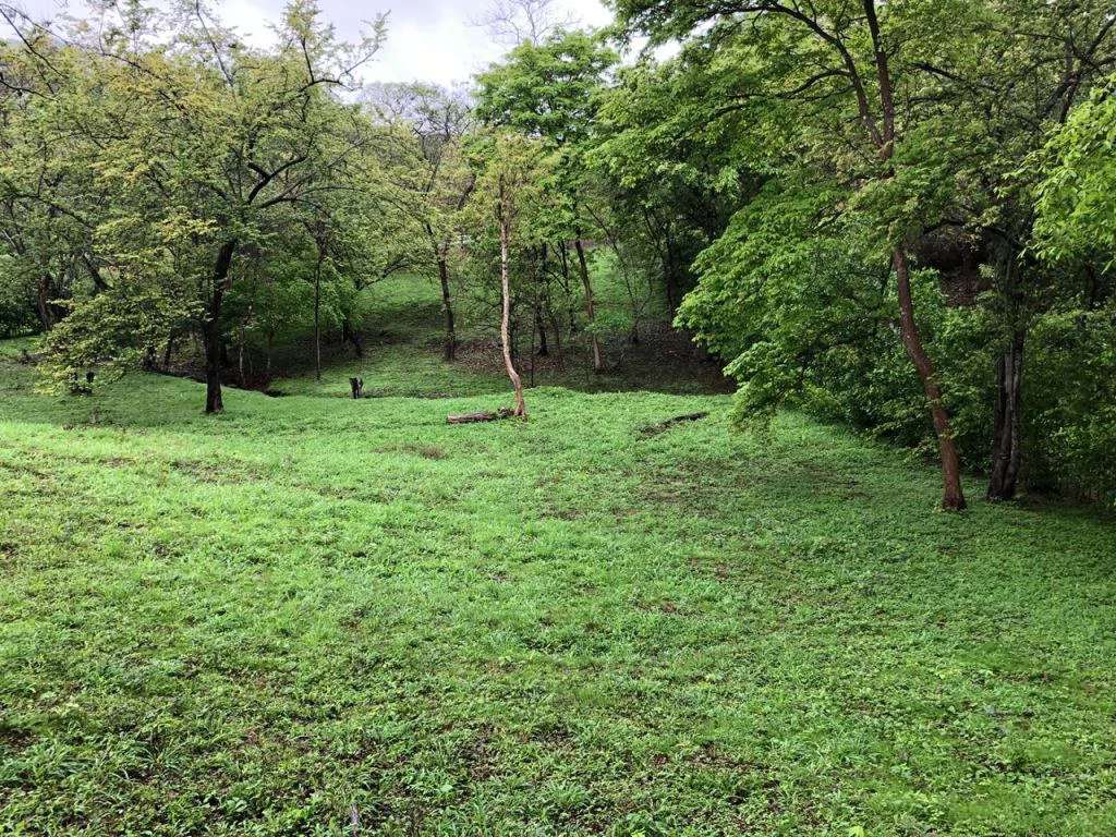 Lot in exclusive Residential, close to Beach Tamarindo - Gallery image 32