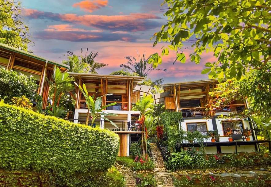 Cabinas Bambura: Cabinas Bambura: Successful Airbnb Business with Stunning Mountain & Jungle View - Gallery image 3
