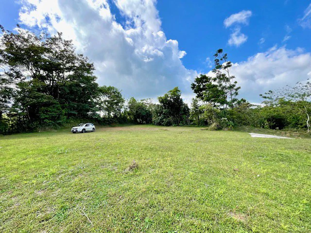 LG-002 Terreno Top Nuevo Arenal: Premium 1.45-Acre Gated Homesite in Nuevo Arenal | Panoramic Lake & Volcano Views, Private Boat Dock & Clubhouse - Gallery image 11