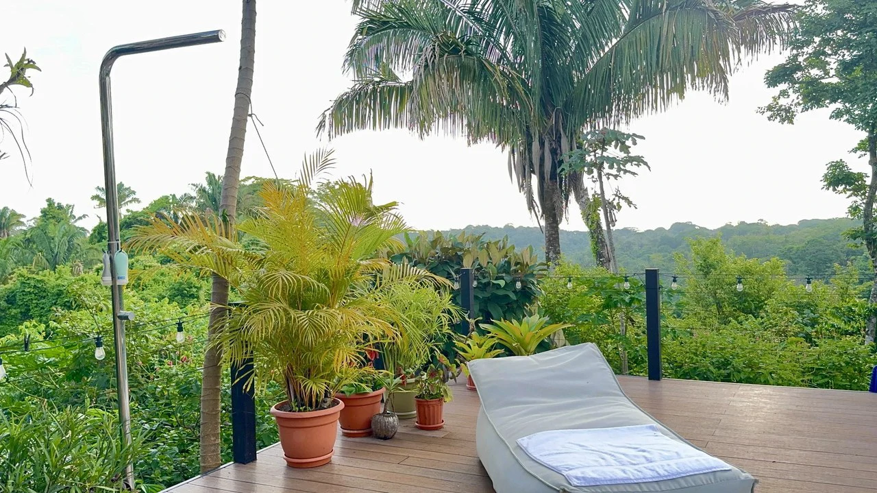 The Ark: $1,390,000 USD Luxury Jungle Estate with Guest House in The Ark Community, Santa Teresa Costa Rica - Gallery image 21