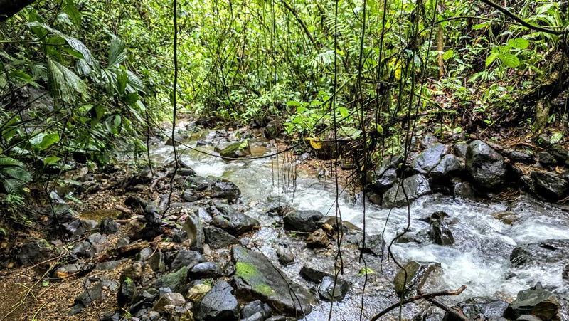 Waterfall Estate, Dos Bocas, Dominical Featuring Twin Waterfalls, Springs, Creeks & Rivers - Gallery image 26