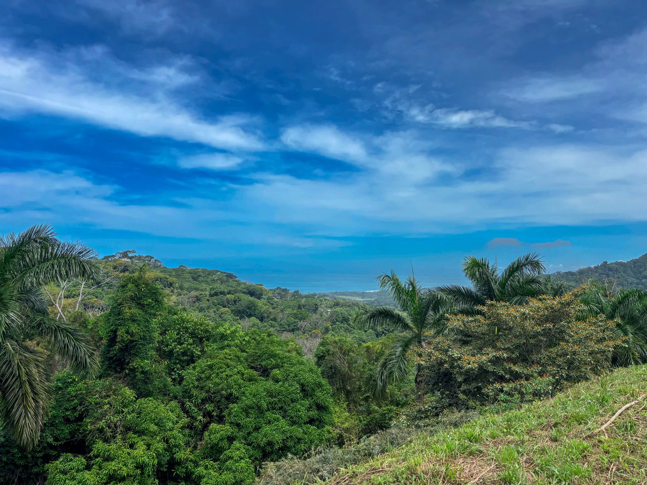 3.6 Acre Ocean View, Near the Beach & Cool Mountain Elevation: Mountain Home Construction Site For Sale in Lagunas - Gallery image 16