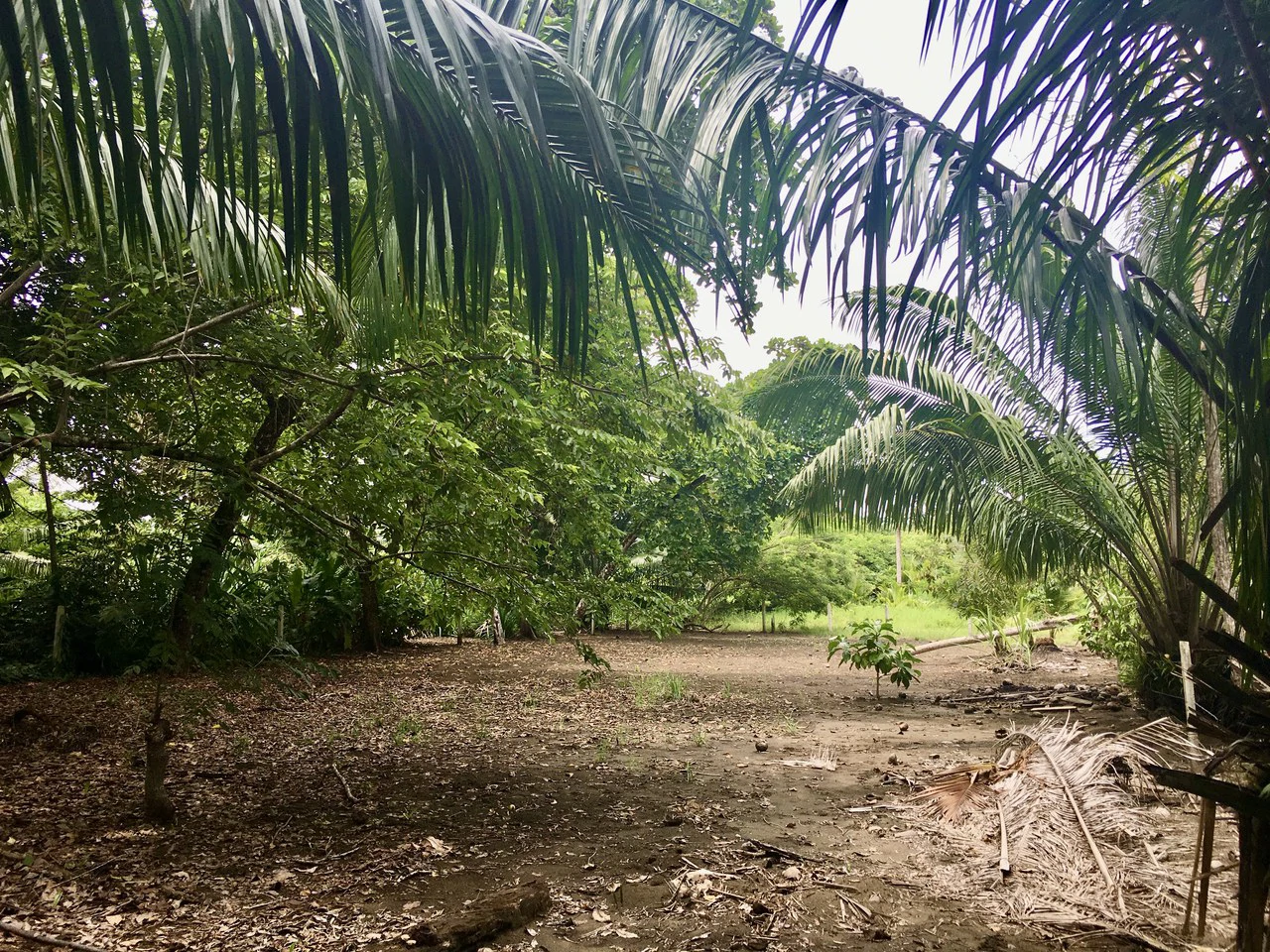 Titled Lot Near A Hidden Beach Close To Town - Gallery image 4