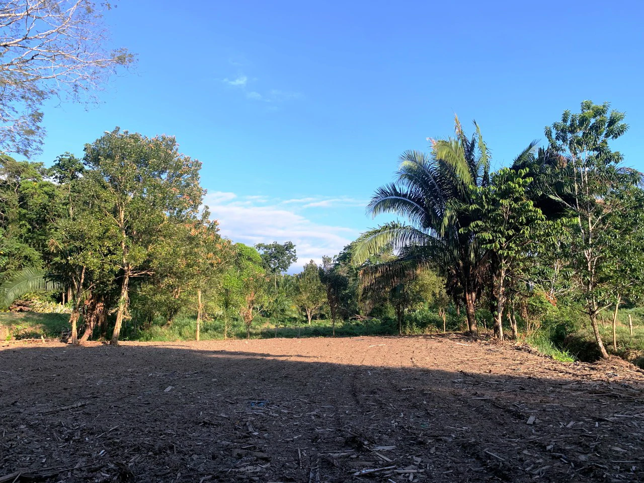 Prime Oceanside Commercial and Residential Lot in Playa Hermosa - Gallery image 13