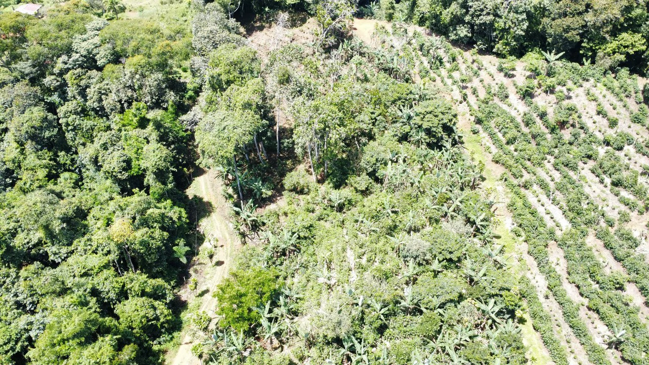 Propiedad en San Rafael de Platanares, Costa Rica: Mountain Home Construction Site For Sale in San Rafael - Gallery image 3