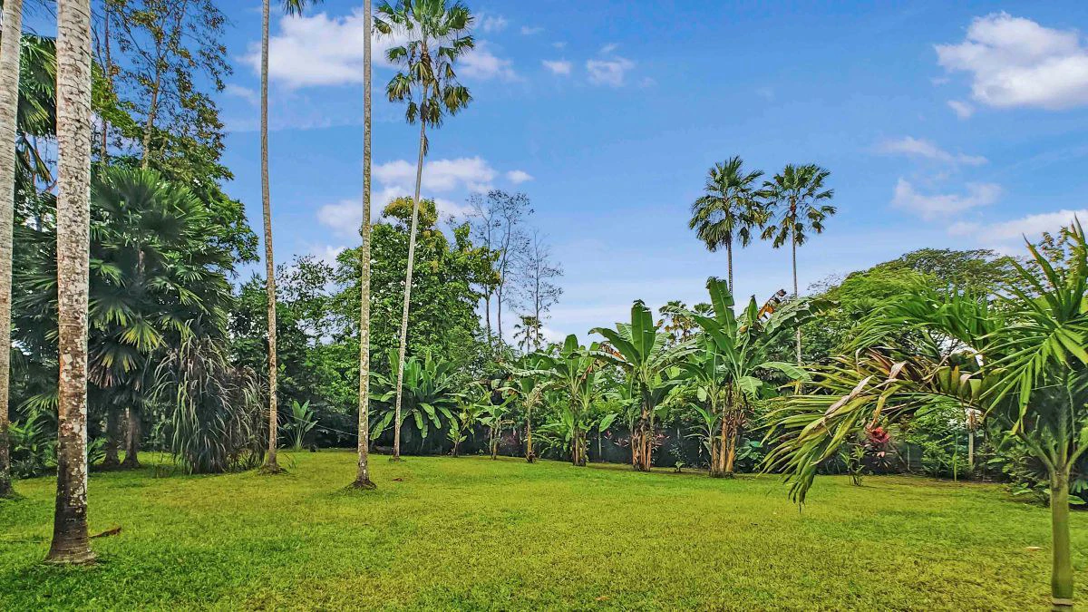ID 765 - 3 Bd/2 Ba Home w/ Pool in Cahuita: Spacious, Well-Built Home on 5,128sqm Private Lot, 5 Minute Walk to Playa Grande, Cahuita - Gallery image 25