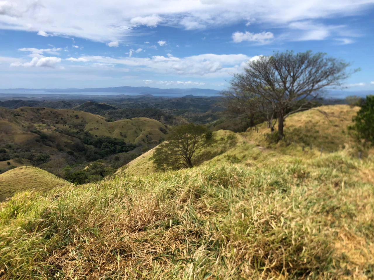 Costa Rica horse Farmland close to Monteverde - Gallery image 4