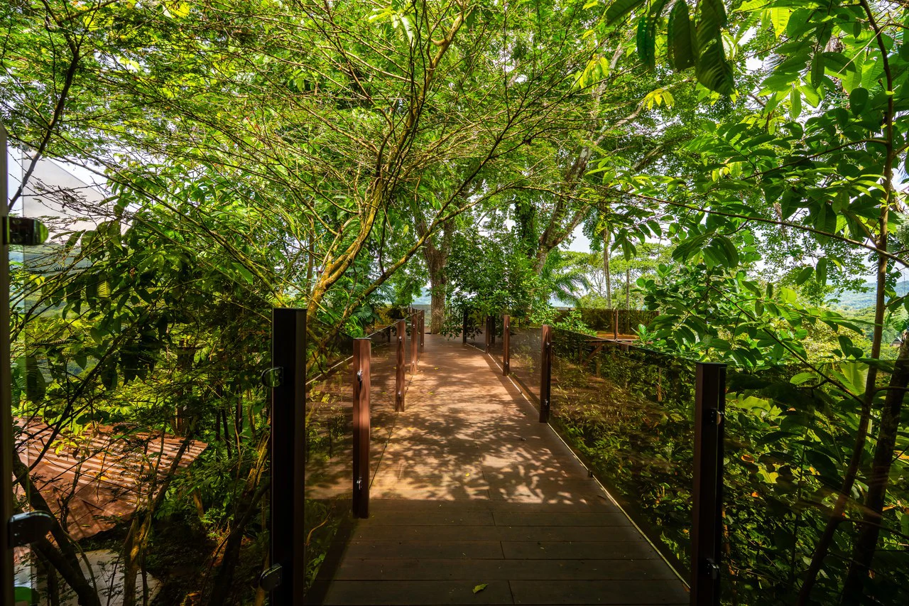 Prime 7.8 Acre Commercial Property with Restaurant for Sale in Costa Rica - Gallery image 30
