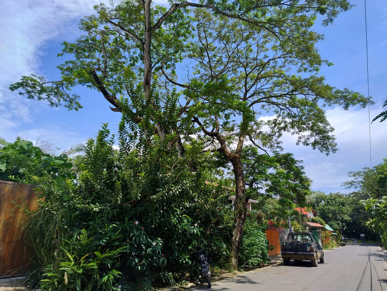 Lote Central Right in the Heart of Samara: Near the Coast Home Construction Site For Sale in Playa Samara - Gallery image 7