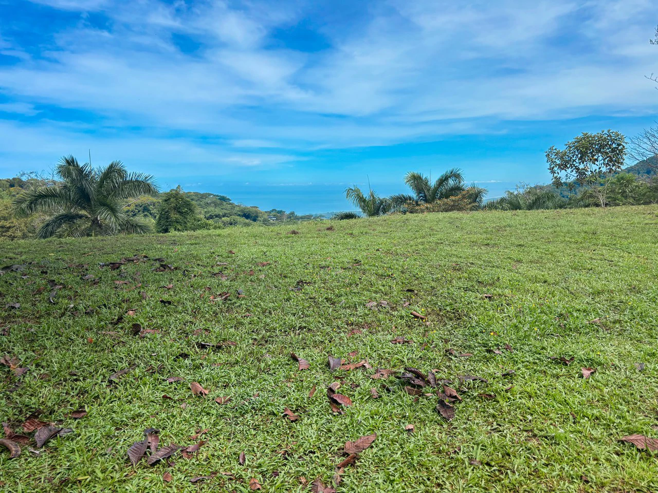 3.6 Acre Ocean View, Near the Beach & Cool Mountain Elevation: Mountain Home Construction Site For Sale in Lagunas - Gallery image 10