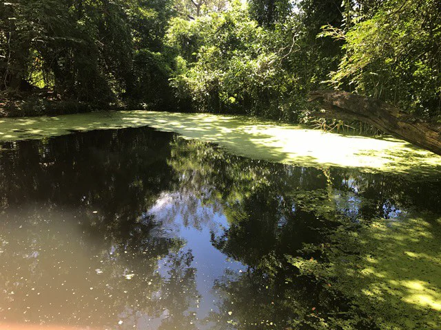 Large Development Land for Sale in Liberia, Guanacaste, Costa Rica - Gallery image 20