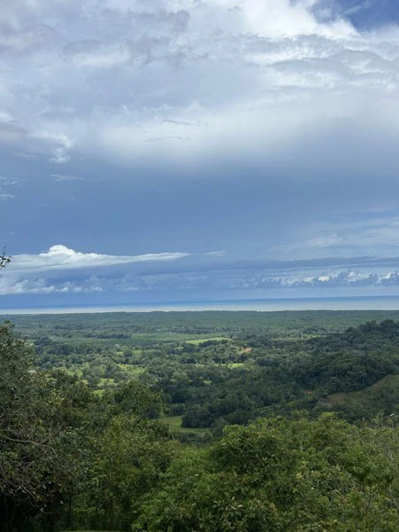 Panoramic 180 Degree Ocean View Lot Ready To Build Close To Ojochal - Gallery image 46