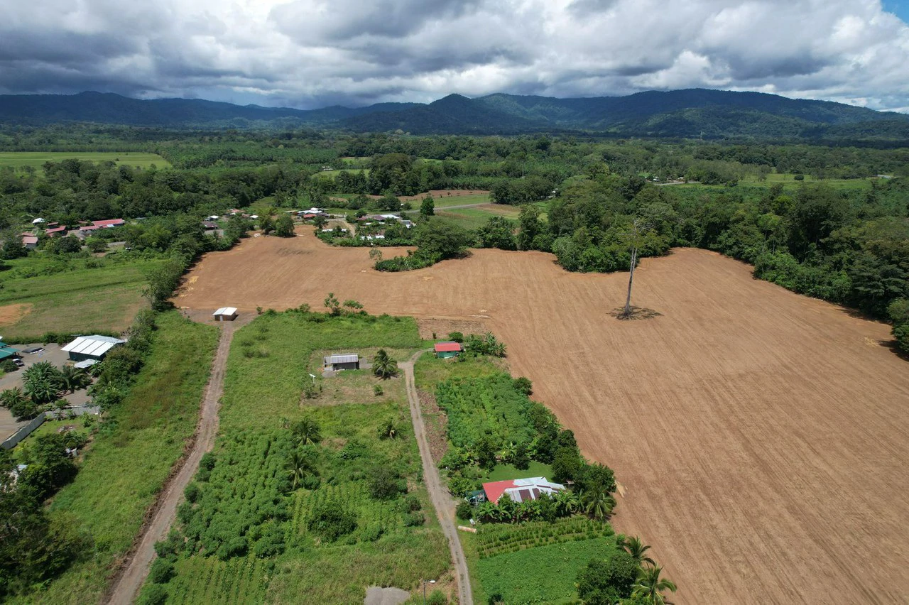 Finca La Palma, Puerto Jimenez: Excellent location ideal for development - Gallery image 13