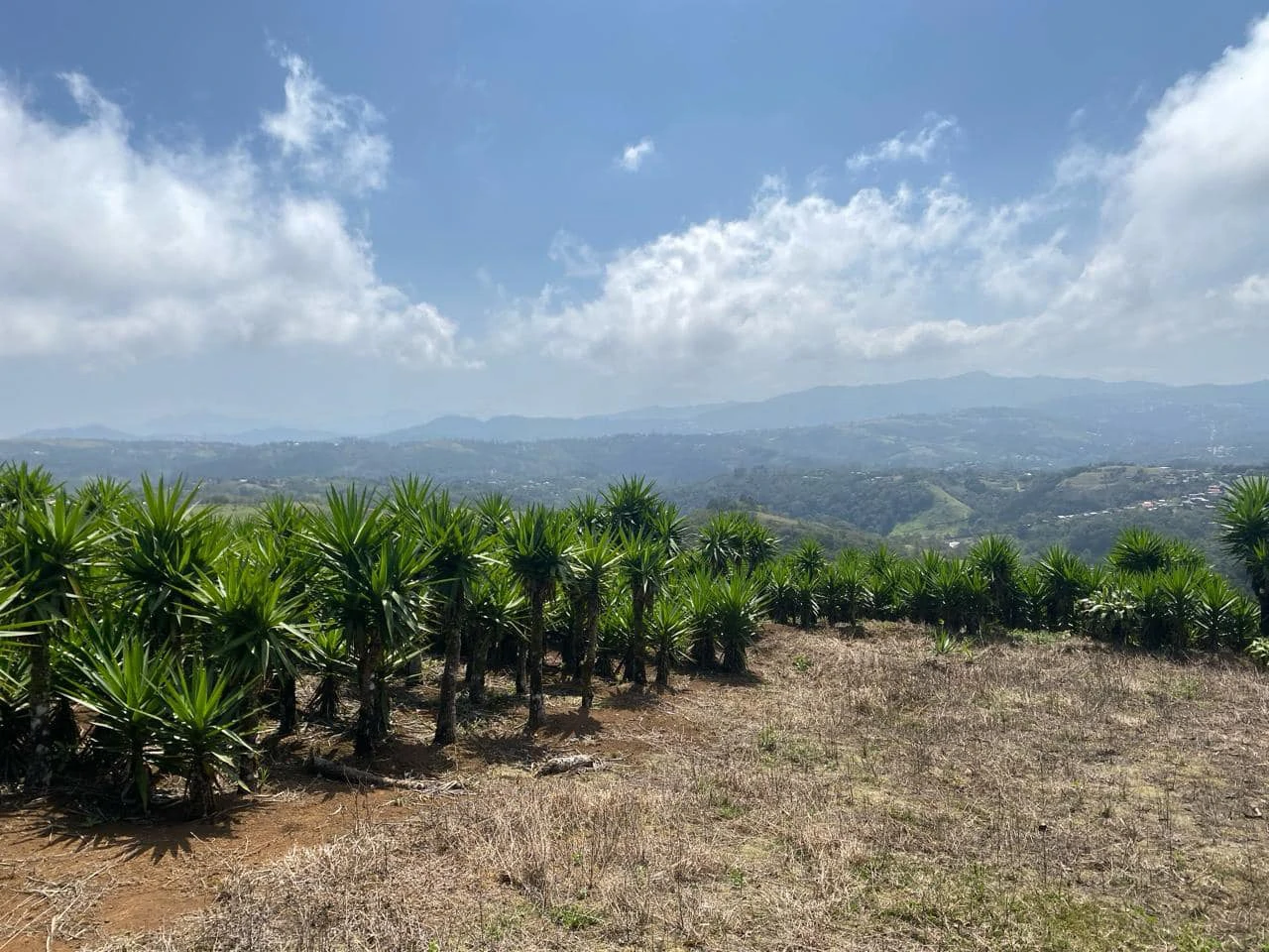 Farm with Exceptional Potential for Sale in San Ramón, Alajuela - Gallery image 6