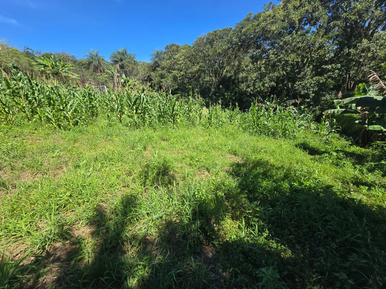 Land for sale in Tambor, Alajuela - Gallery image 16