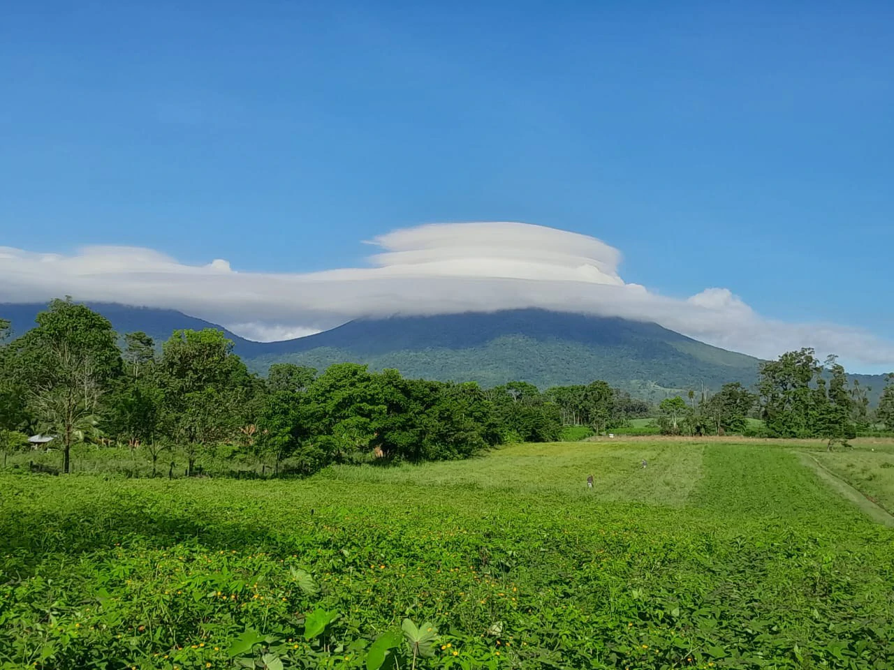 La Fortuna (Arenal) Opportunity!: 4 ha in La Fortuna Tourist Hotspot! USO: Hotel | Commercial | Mixted - Gallery image 2