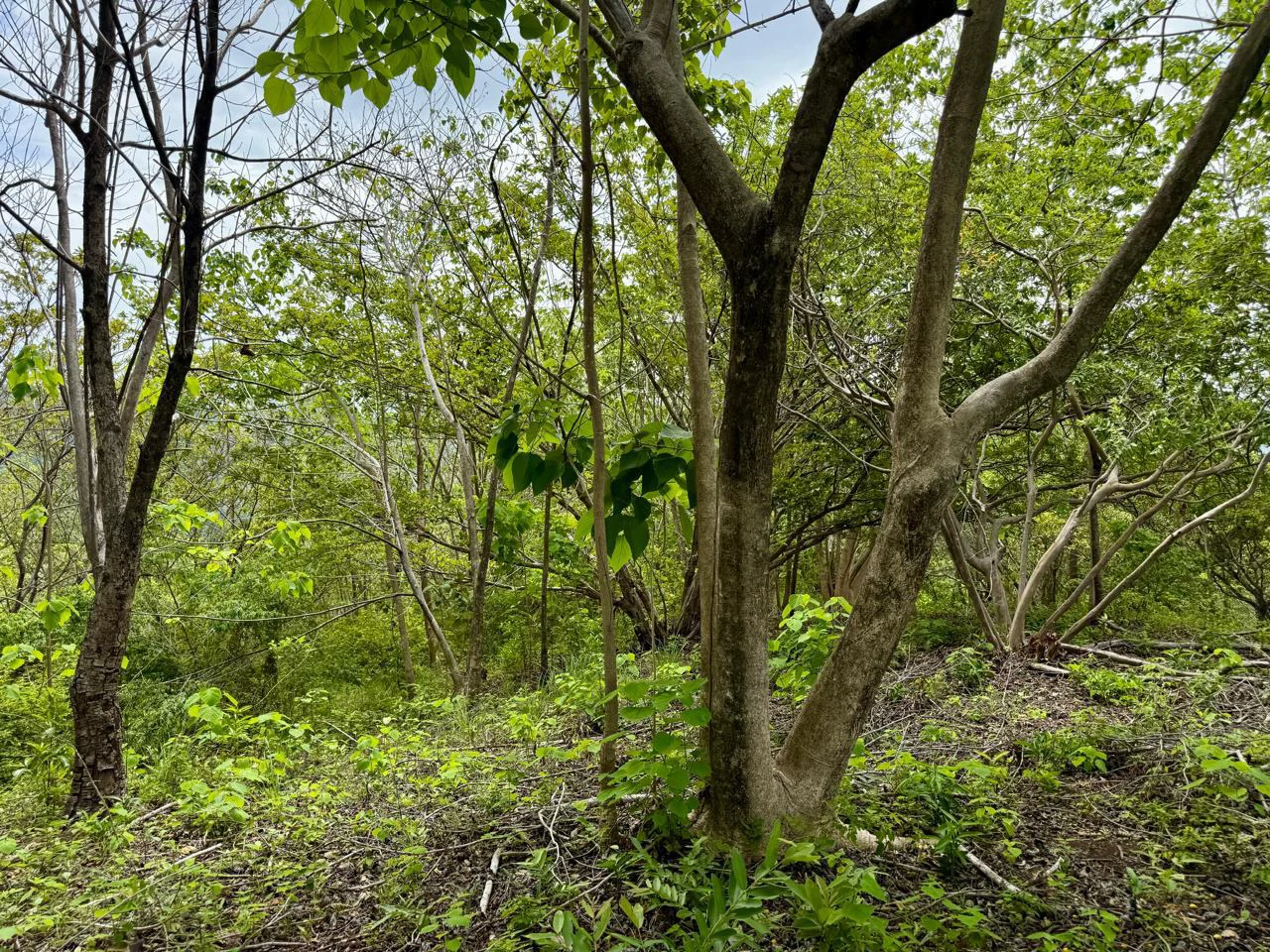 Property for Sale with Ocean and Mountain Views Corozalito Beach Guanacaste Costa Rica - Gallery image 11