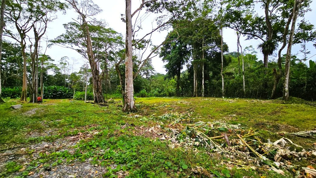 ID 924: El Cortijo: New Community Development in Hone Creek - Gallery image 5