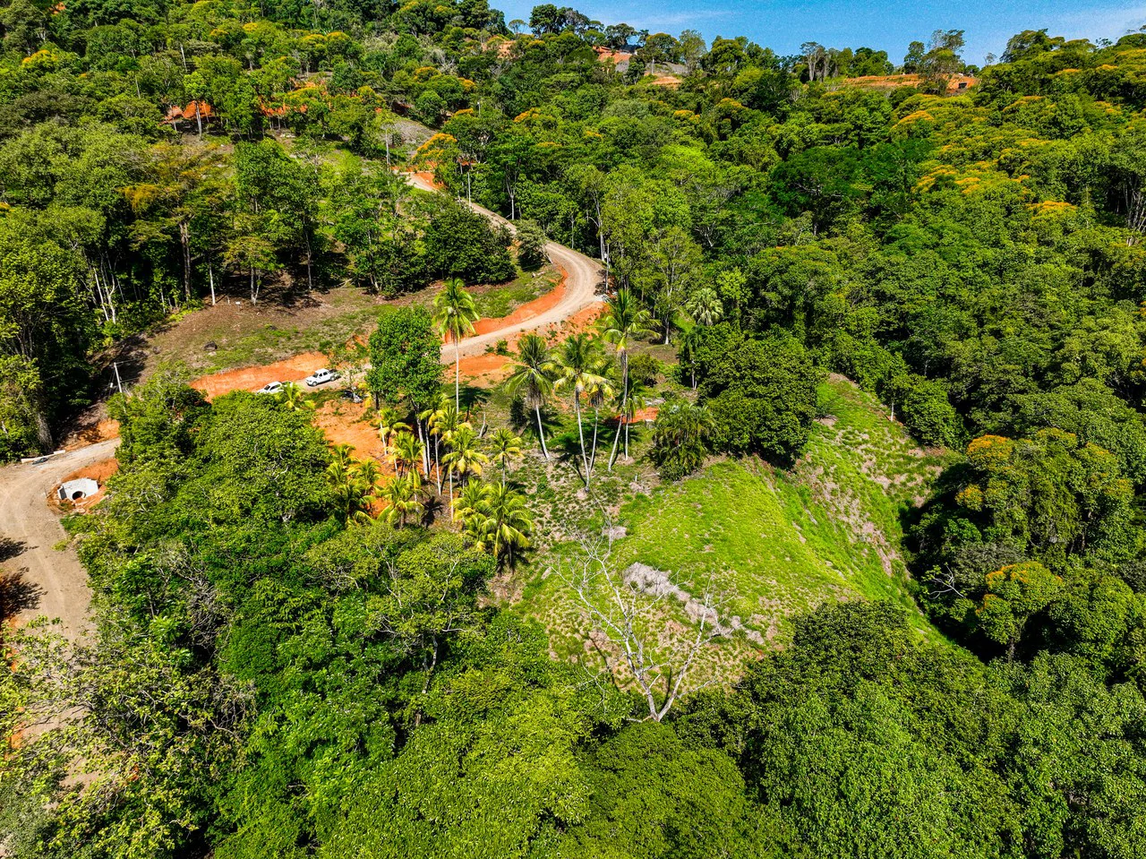 Just Over 3 Acres Riverfront Land in Platanillo Above Dominical - Gallery image 3