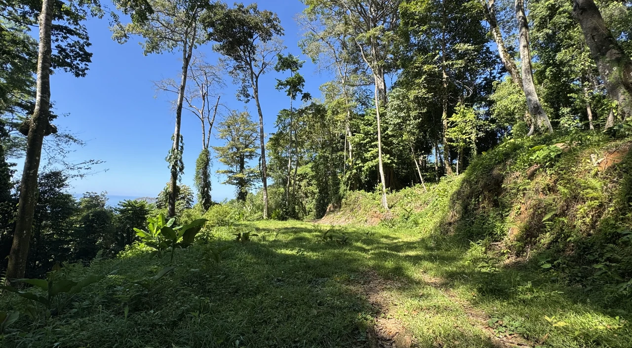Two Ocean View Lots in Uvita – Easy Access and Large Building Sites - Gallery image 7