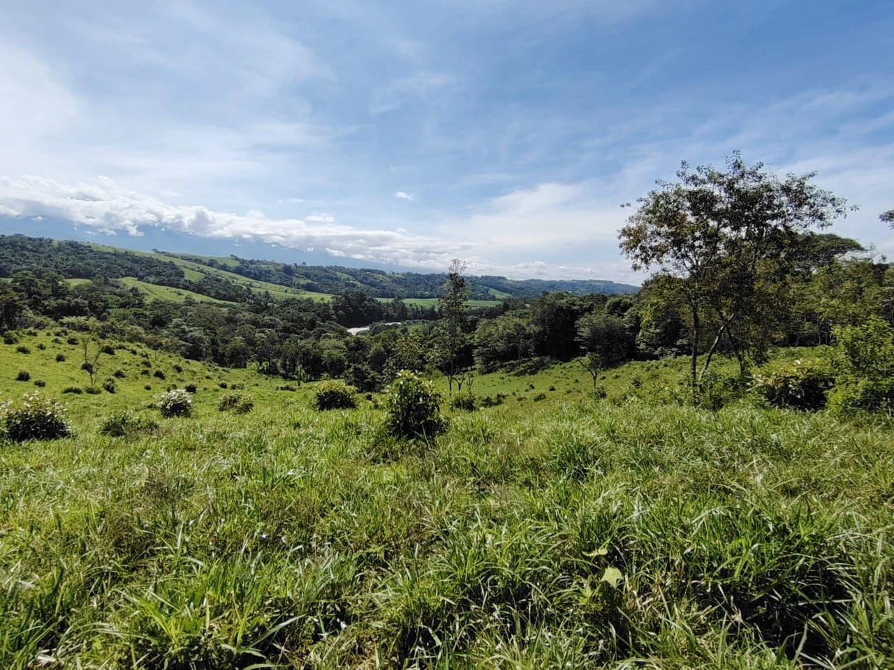 SE VENDE PROPIEDAD EN CAJÓN, COSTA RICA.: Mountain Home Construction Site For Sale in Cajón - Gallery image 17