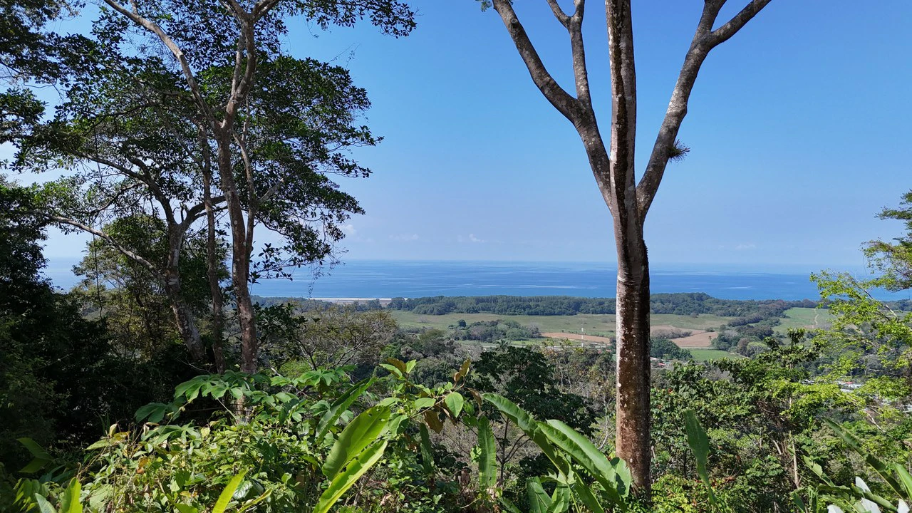 Exceptional Development Opportunity 71 acre Riverfront & Ocean View in Hatillo