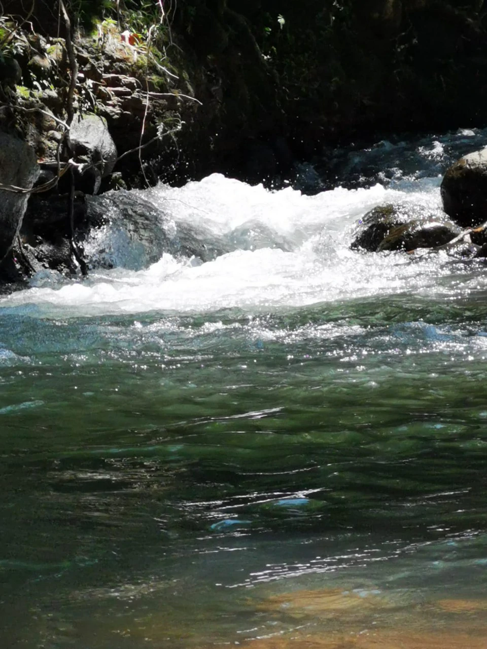 Your Costa Rica Paradise Home: Costa Rica River Paradise Home 3 bedroom - Gallery image 20