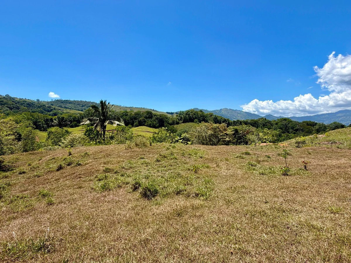 8.77 ACRES – Private Land Just 20 Min to Dominical, Beautiful Mountain Views, Legal Water, Electricity, Public Road, Private Setting, Ready to Build!!!! - Gallery image 19