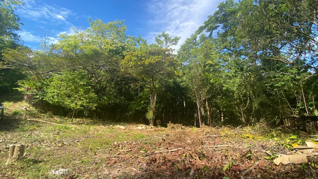 Mountain Home Construction Site For Sale in Tres Rios - Gallery image 8