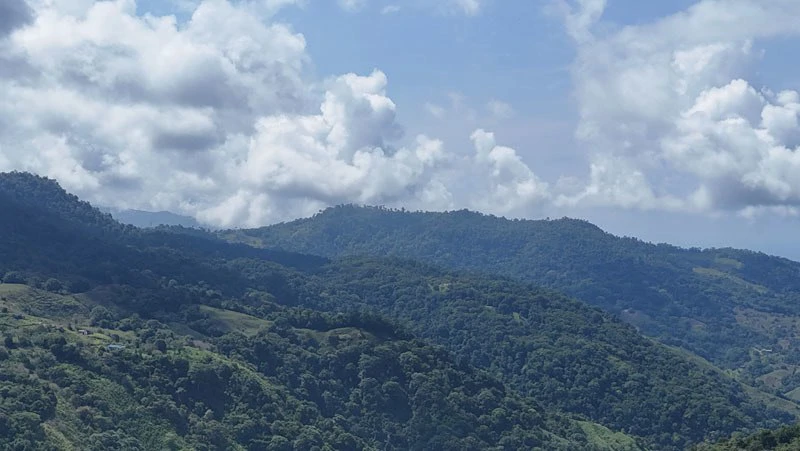 Oceanview Paradise Near San Luis Waterfall Ready to Build Morete, Uvita, Puntarenas, Costa Rica - Gallery image 8