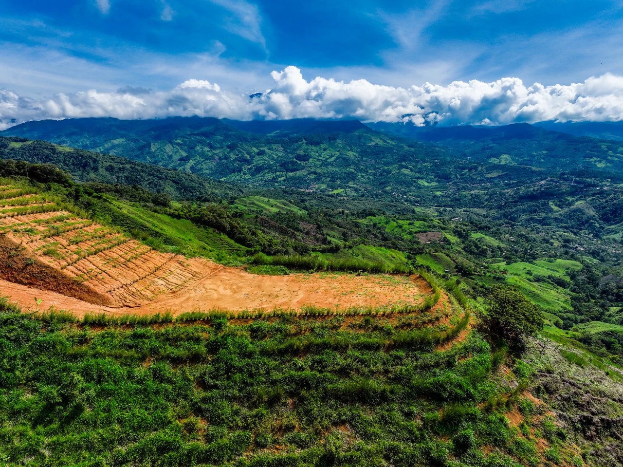 12 Acre Fruit Farm Above San Isidro City Lights Chirripó Views and Deep Well Water - Gallery image 25