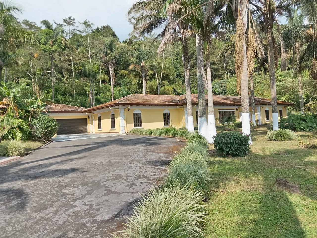 Mansion in the Hills: Spectacular Hacienda Mansion with City Views! - Gallery image 12