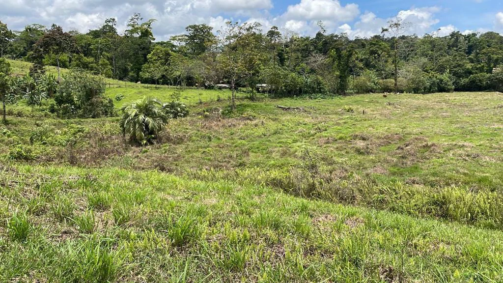 Building potential property for sale, beautiful land in the pure nature close to Bijagua - Gallery image 6