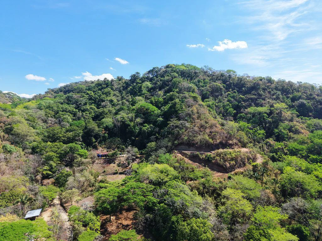 Lote 17 La Montaña: Stunning 1.86 Acres Ocean And Mountain View Land - Gallery image 7