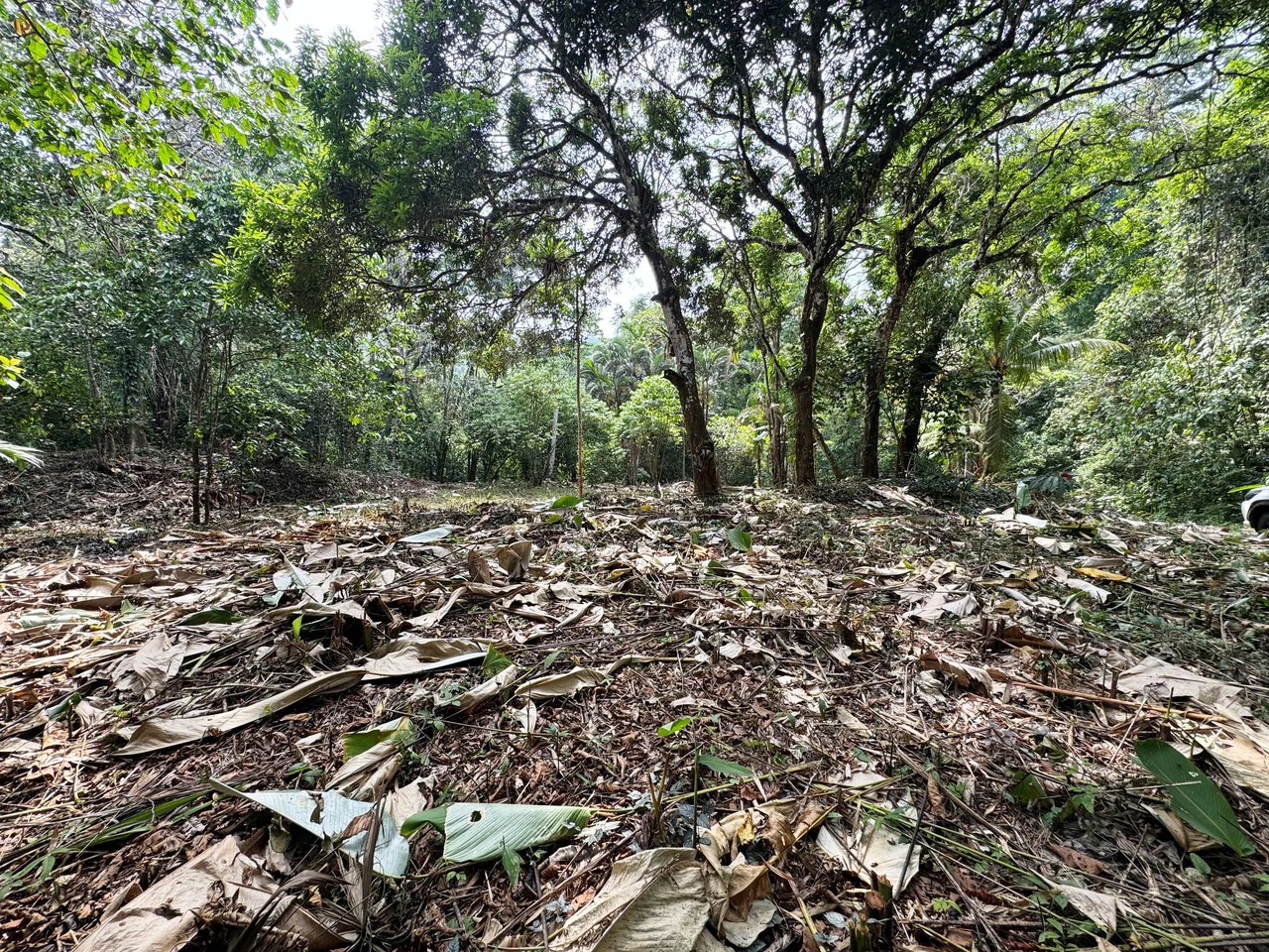 1 Acre Jungle Lot with River in Playa Dominical - Gallery image 9