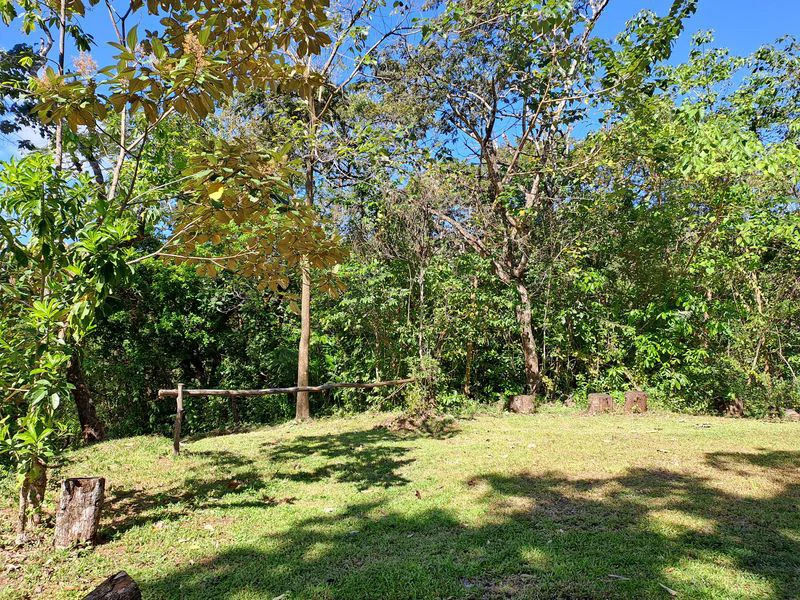 Lotes Mirador: Lotes Mirador, Breathtaking Lots with Stunning Ocean and Mountain Views, Large Building Pads, just 30 minutes from Samara Beach - Gallery image 13