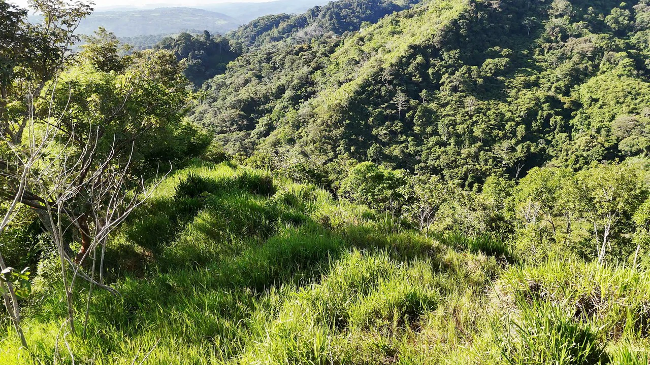 Mountain Agricultural Land For Sale in San Isidro del General - Gallery image 6