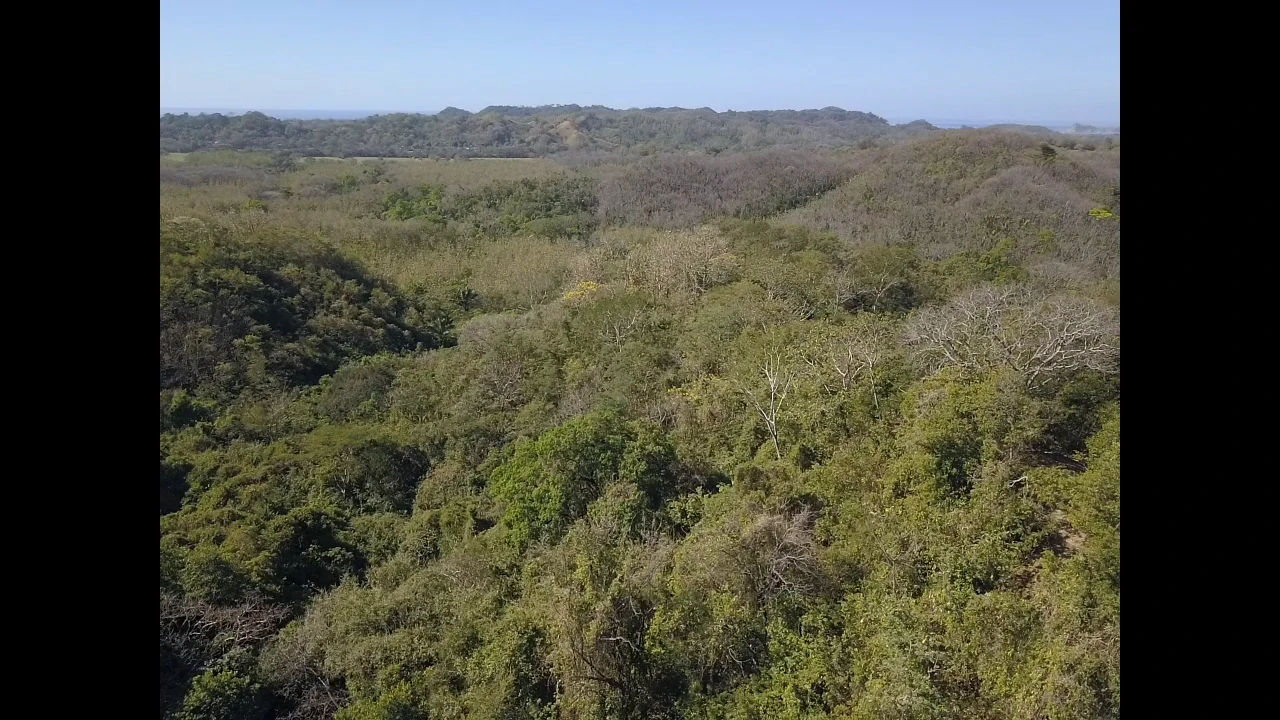 Finca Nora - Your Exclusive Tropical Paradise near Barrigona and Samara beach: Mountain Home Construction Site For Sale in Playa Samara - Gallery image 6