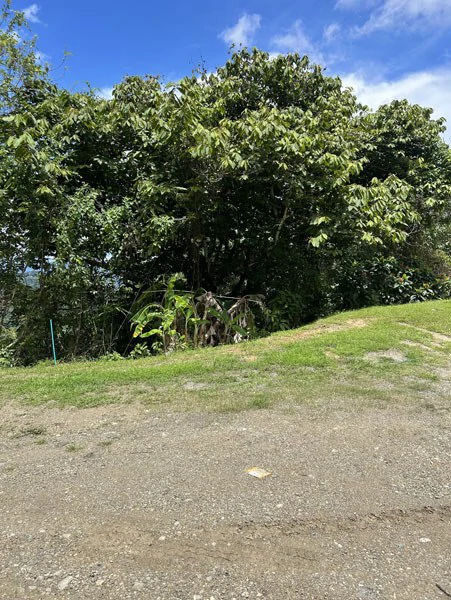 Panoramic 180 Degree Ocean View Lot Ready To Build Close To Ojochal - Gallery image 17