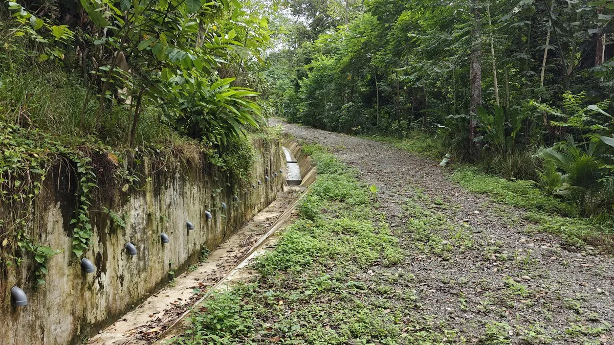 ID 345: 6,763m² Ocean View Development Land for Sale in Puerto Viejo - Gallery image 7