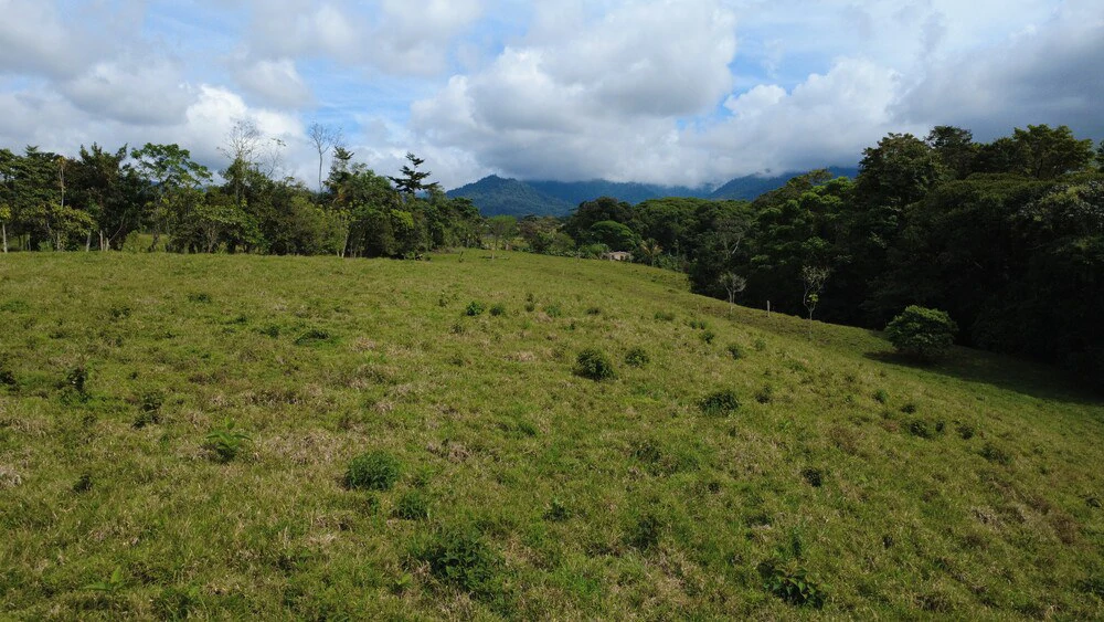 Countryside Home Construction Site For Sale in Centro de Pérez Zeledón - Gallery image 4