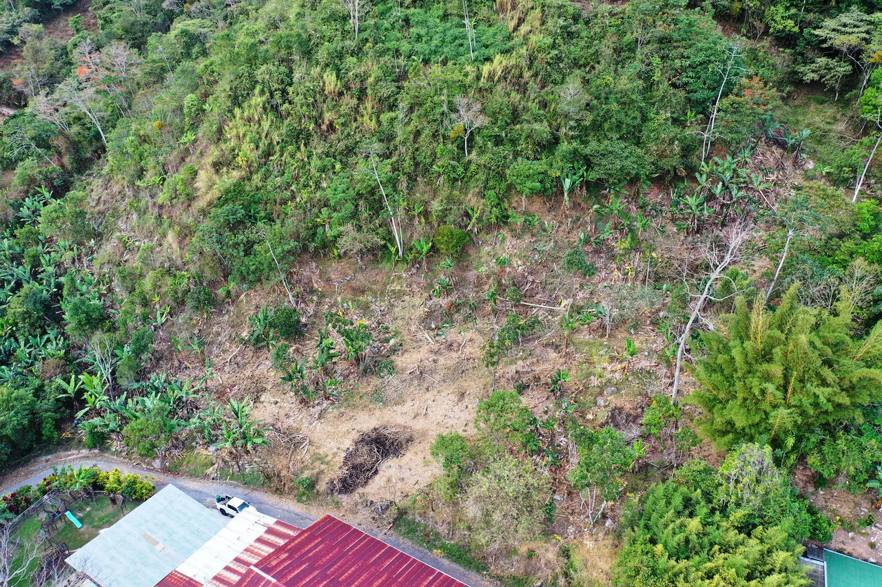 Canaan de Rivas 10 acres Above San Isidro - Gallery image 11