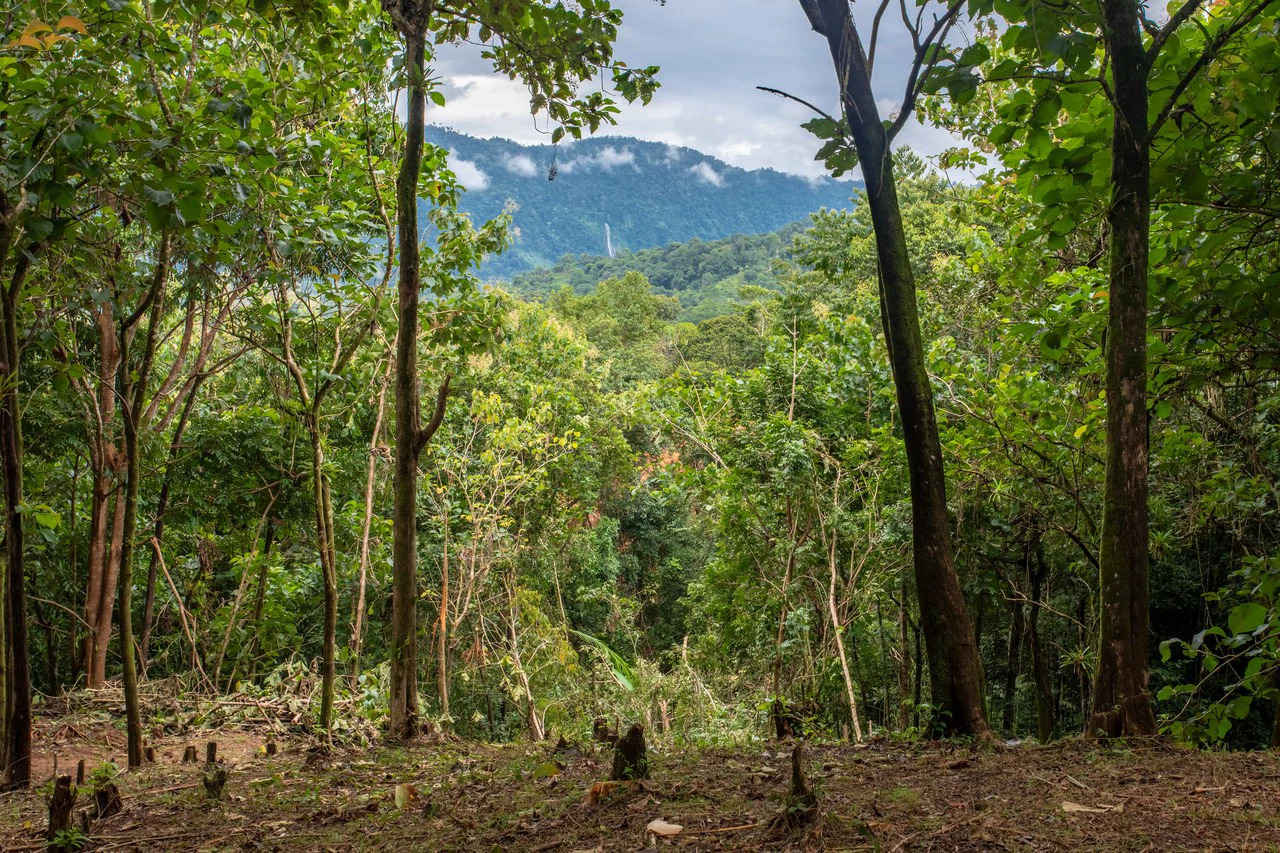 2.4 Acre Property In The Mountains Above Dominical with Waterfall Views - Gallery image 13